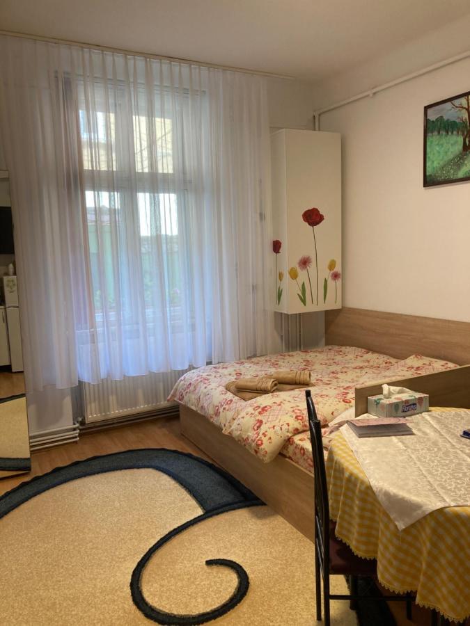 Appartement House Centrul Istoric à Sibiu Extérieur photo
