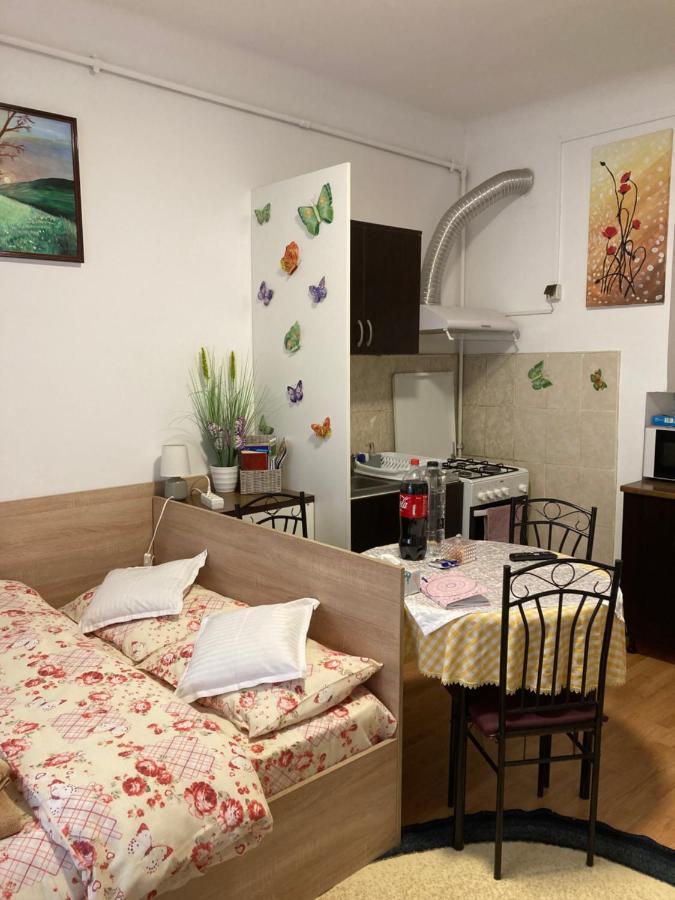 Appartement House Centrul Istoric à Sibiu Extérieur photo